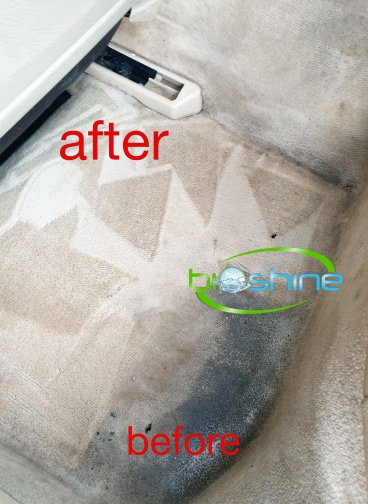 car carpet cleaning